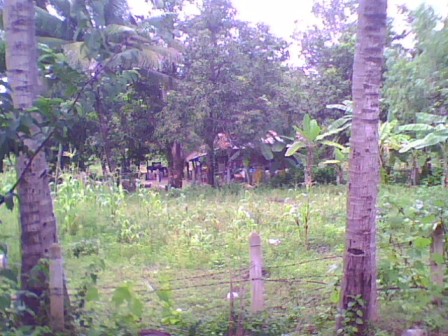 2009091001.jpg