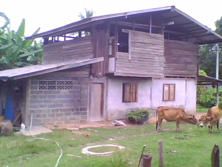 2009091002.jpg